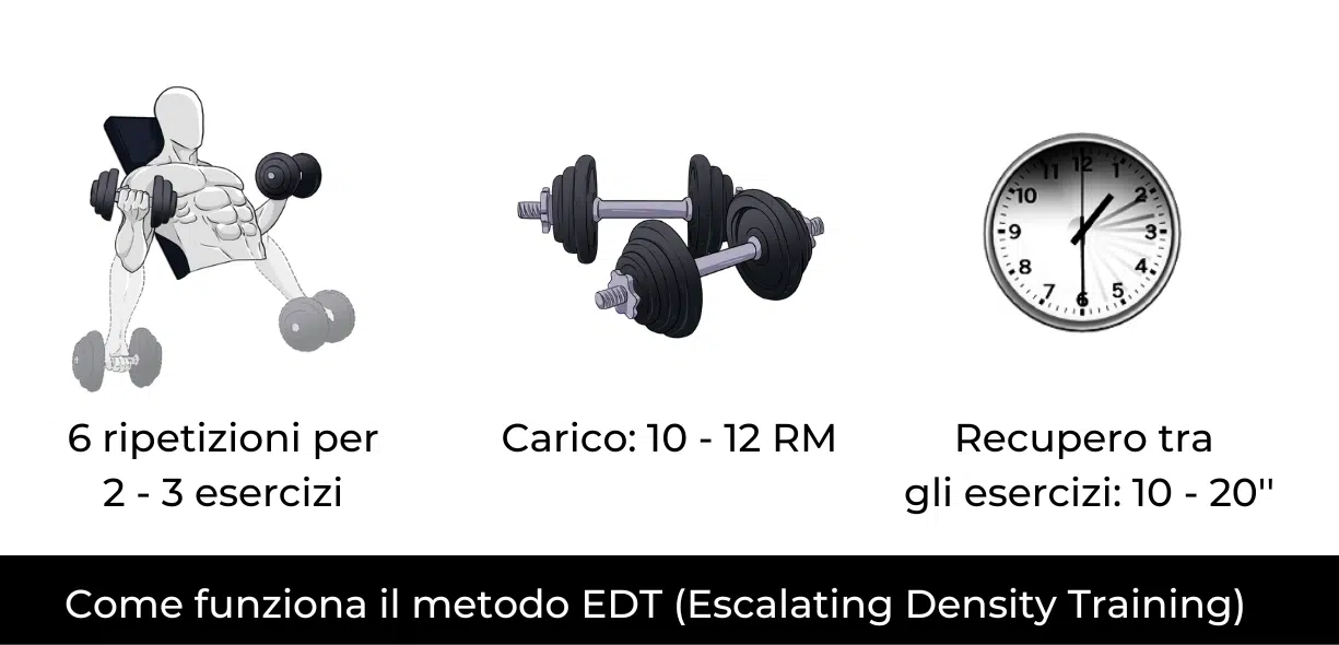 edt bodybuilding
