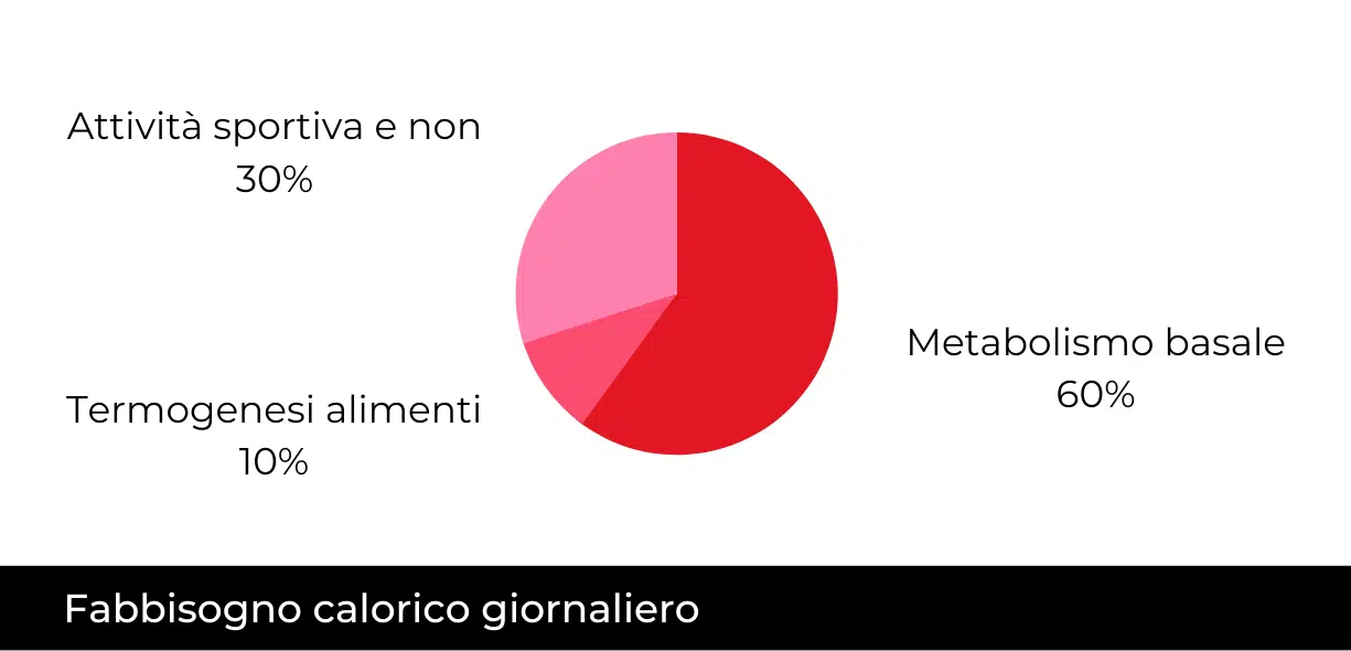 dispendio energetico 