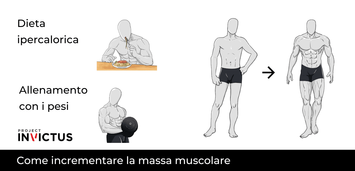 massa magra