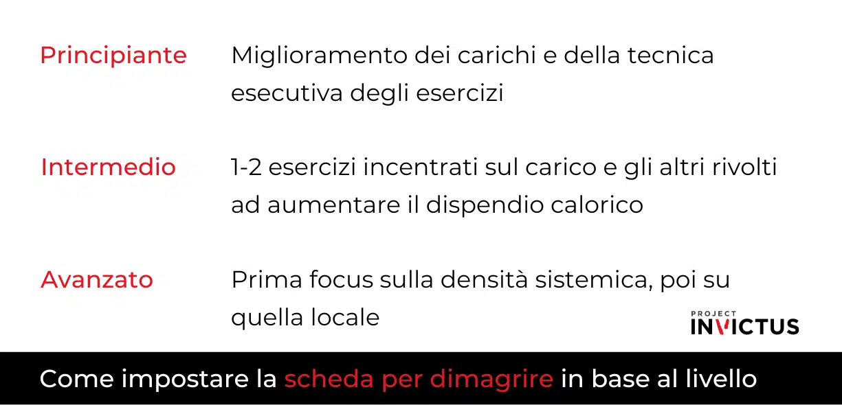 scheda palestra definizione