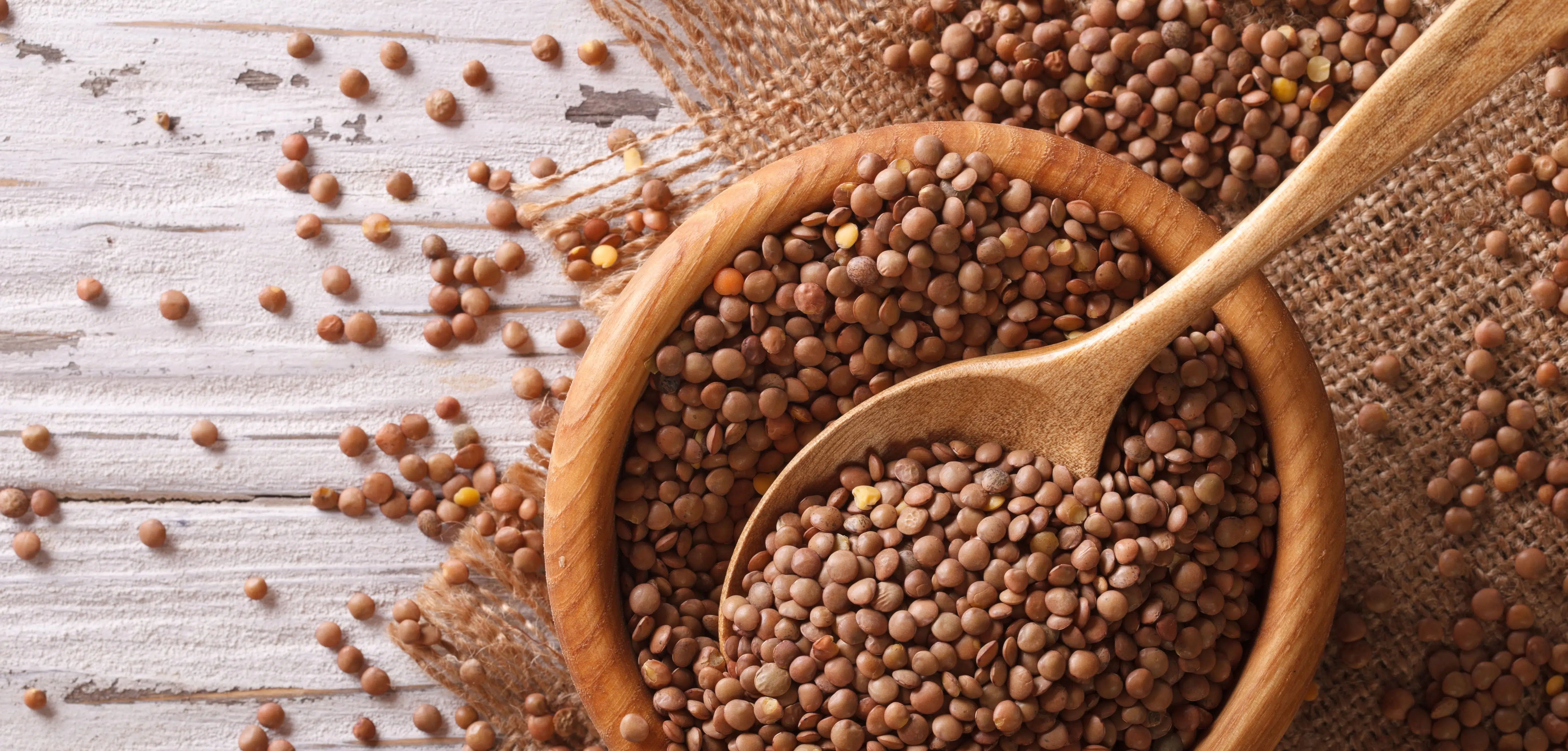 lenticchie valori nutrizionali