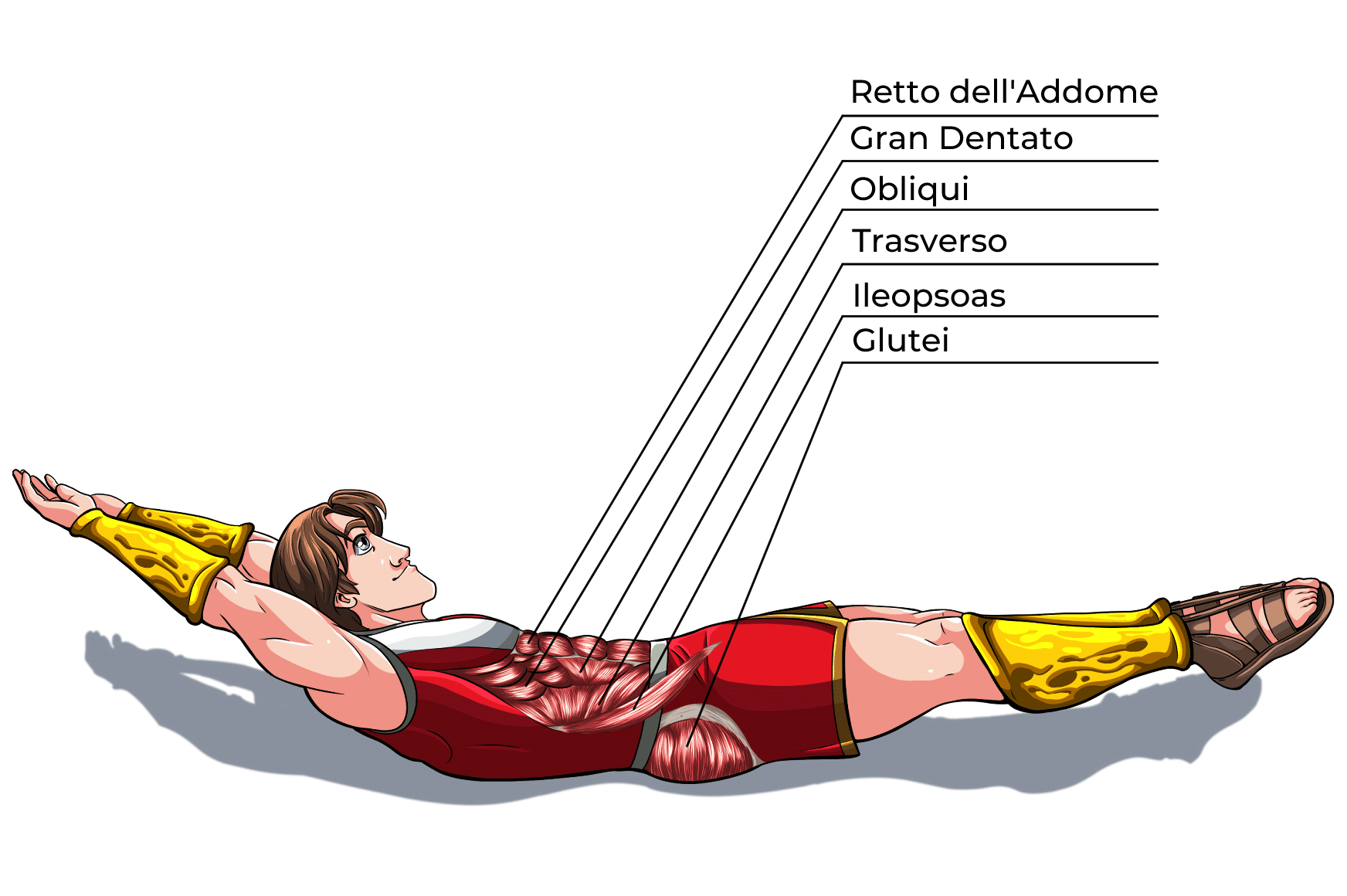 Hollow Position Muscoli Coinvolti