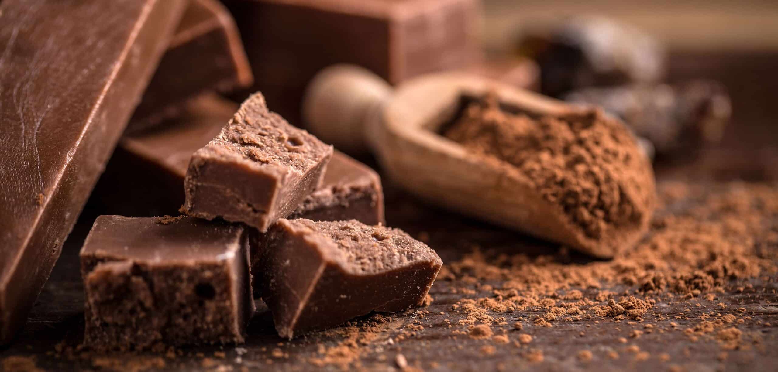 cioccolato fa ingrassare