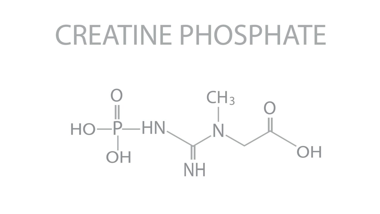 fosfocreatina