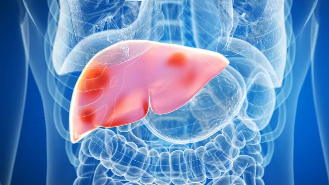 Glicogenolisi cos'è e quando avviene Project inVictus