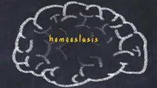 omeostasi