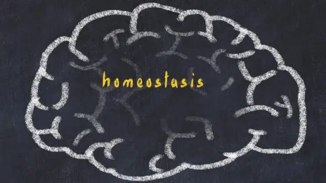 omeostasi