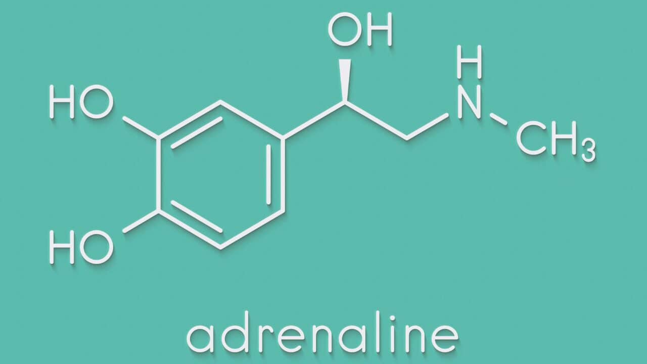 adrenalina