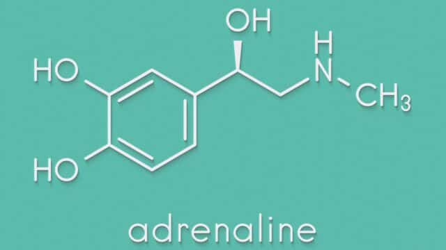 adrenalina