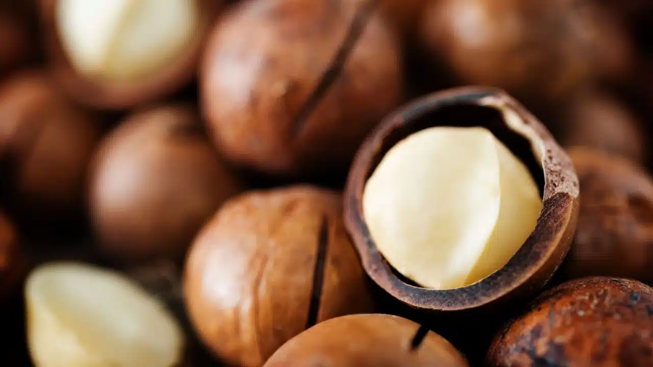 calorie noci di macadamia