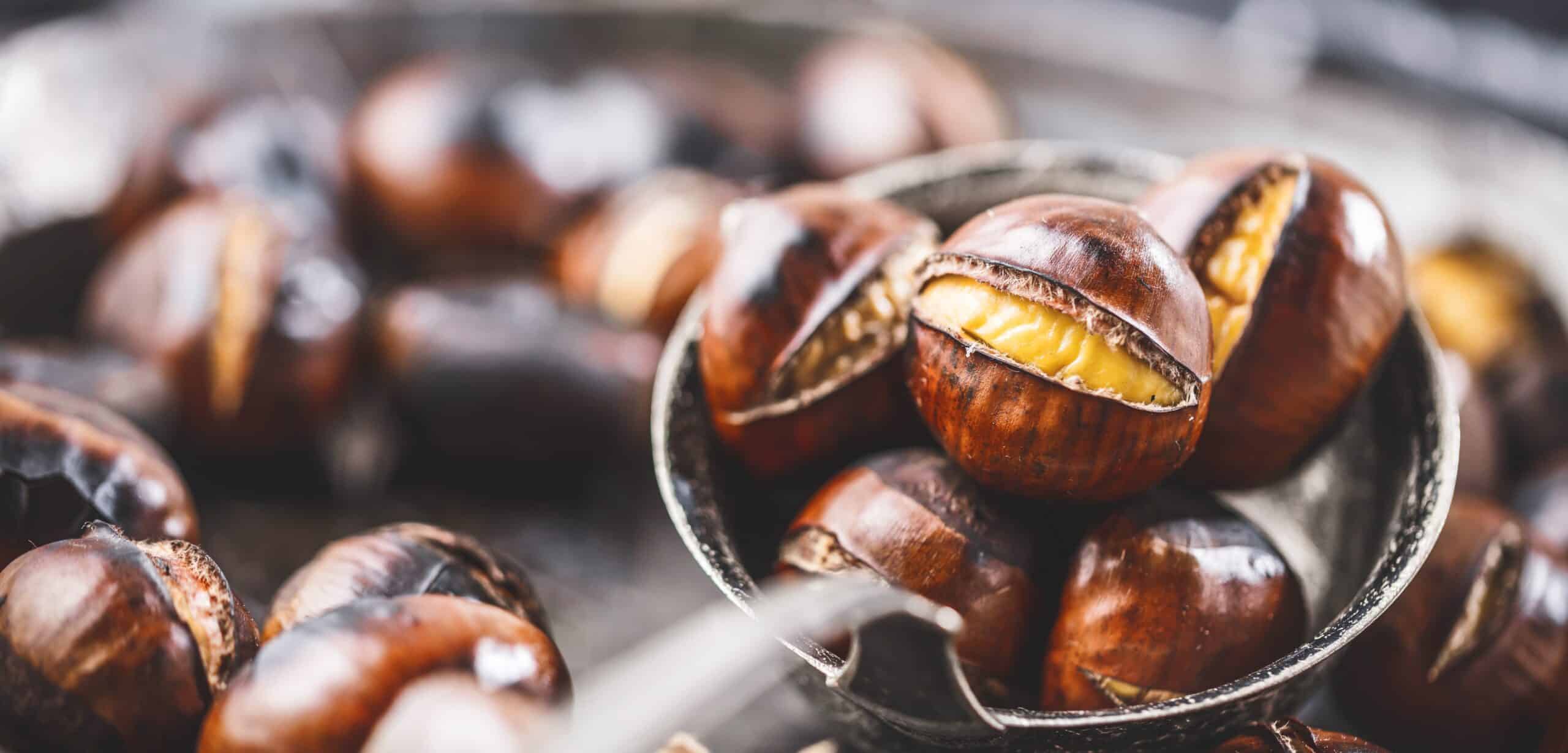 castagne valori nutrizionali