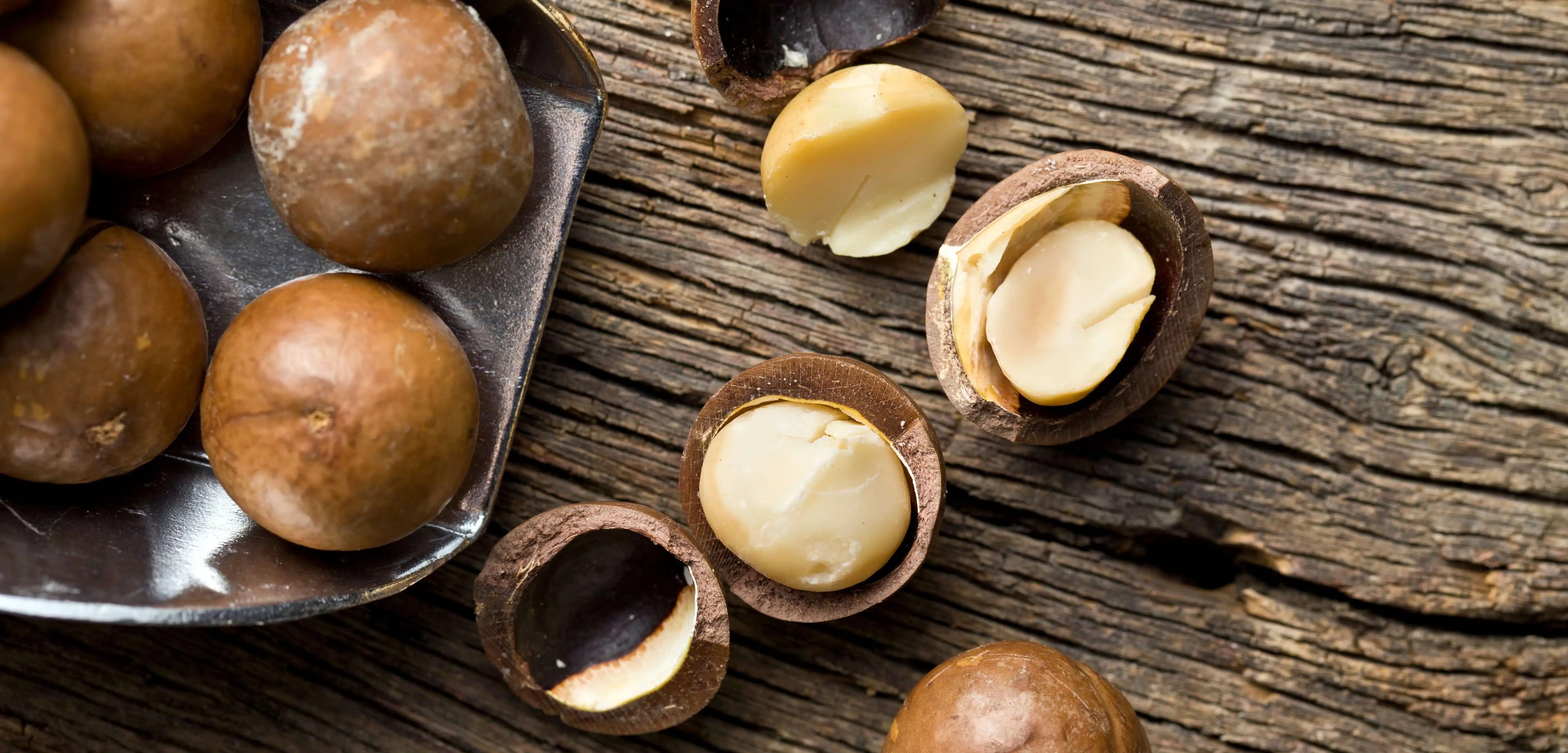 noci di macadamia calorie