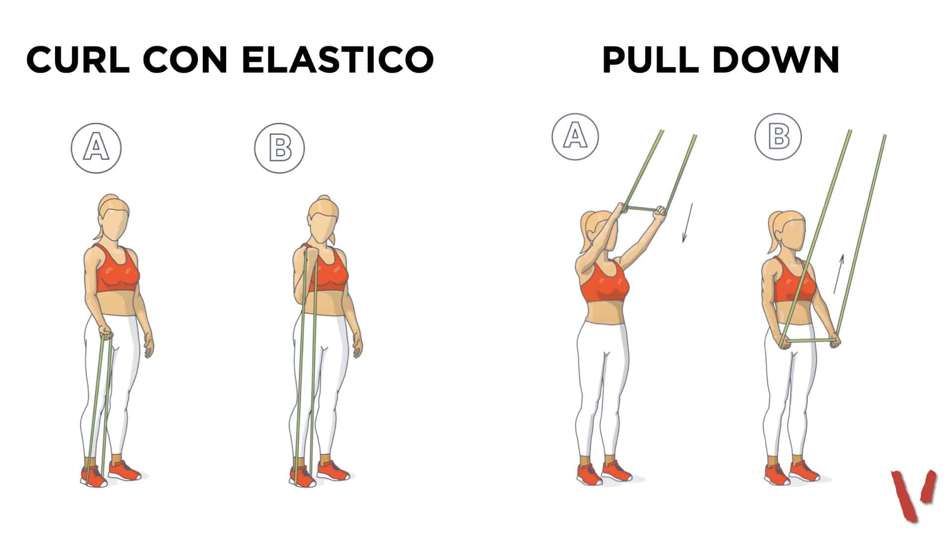 Allenamento elastici: esercizi, benefici, scheda - Project inVictus