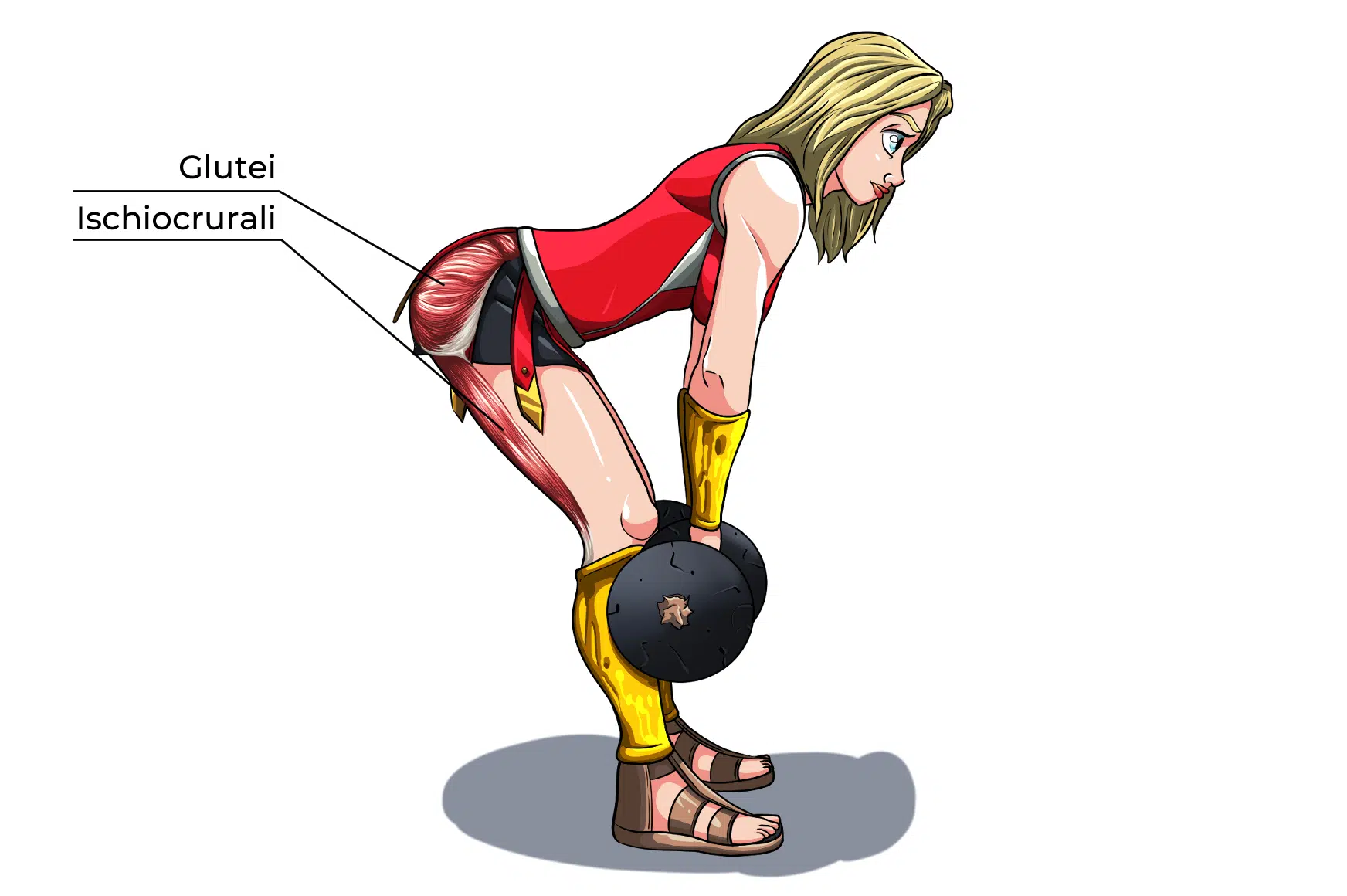 Stacchi Gambe Tese Muscoli Coinvolti