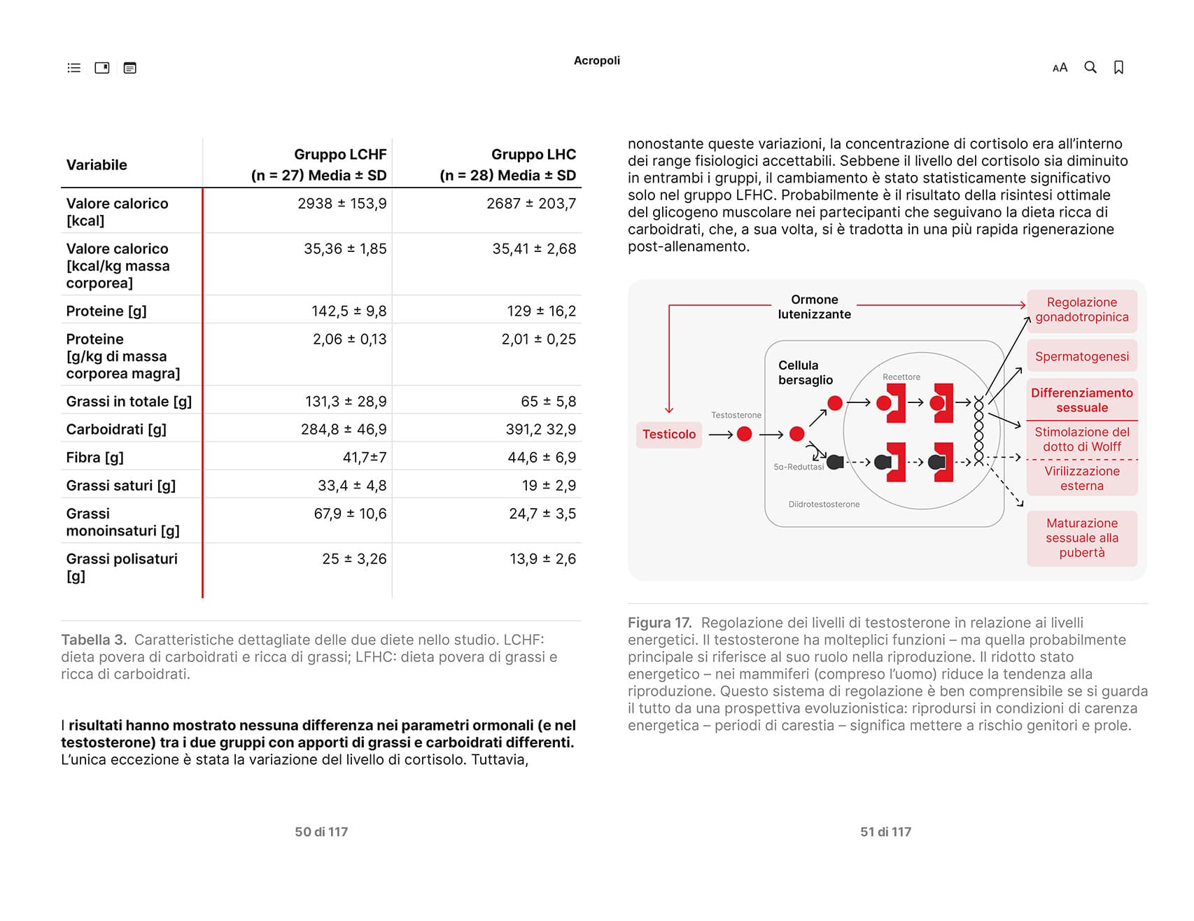 Acropoli 33 - Pagine 3