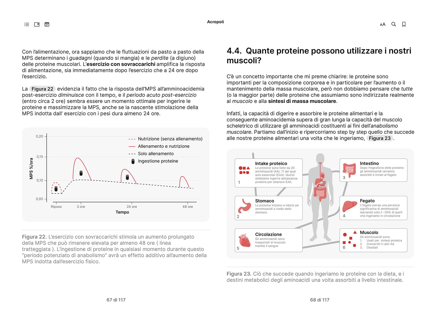 Acropoli 33 - Pagine 4