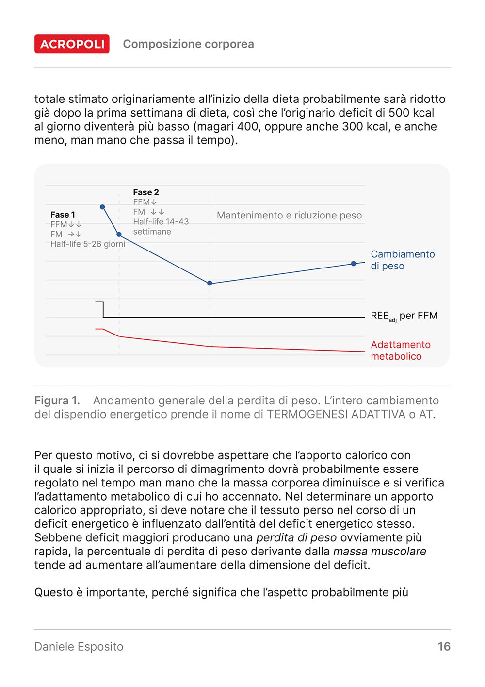 Composizione Corporea