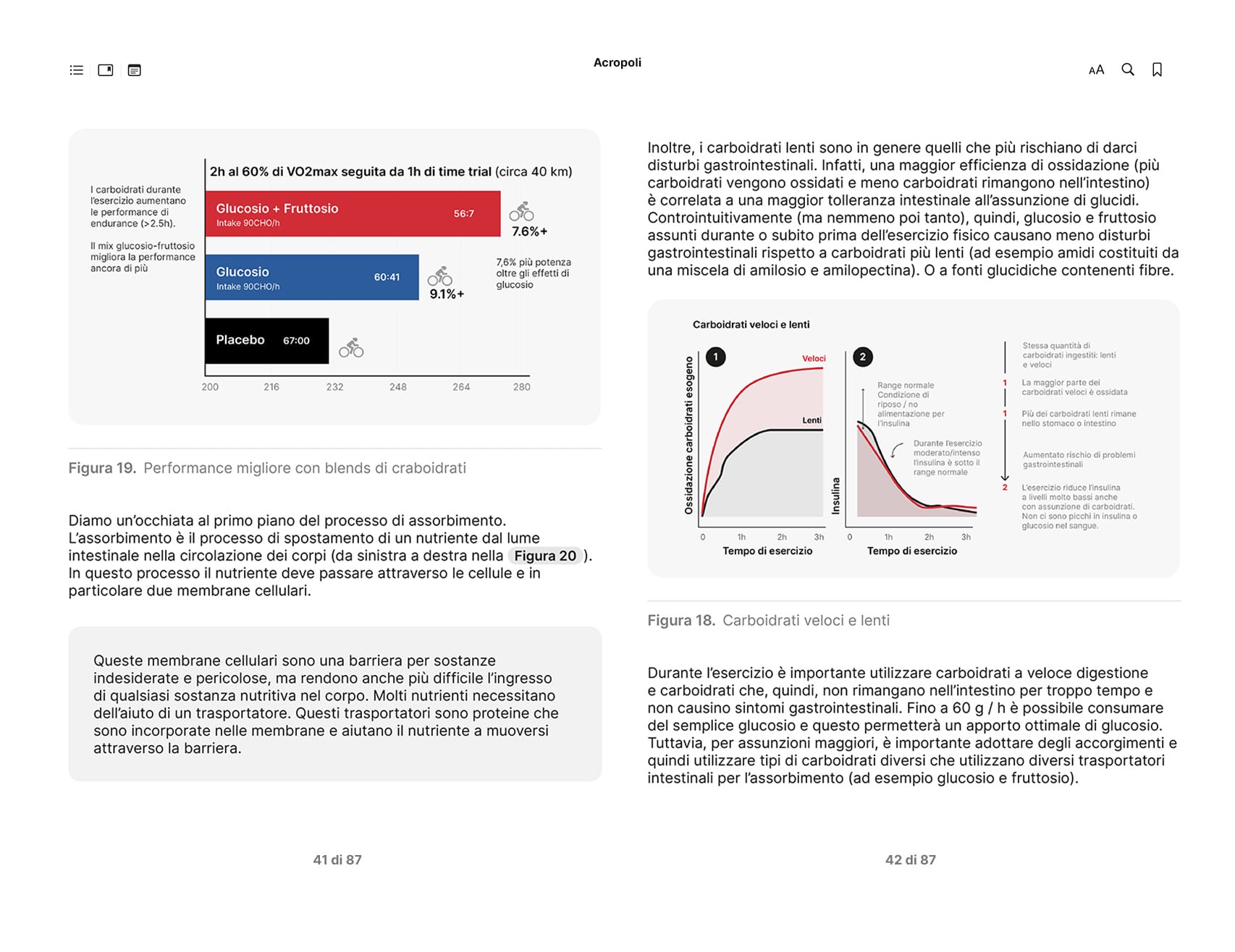 Carboidrati bodyrecomp pagine