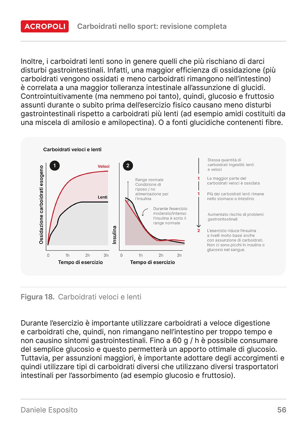 Carboidrati per bodyrecomp - Pagine