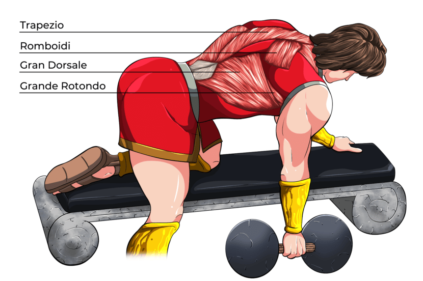 Rematore Con Manubrio Guida Completa Project InVictus rematore-con-manubrio-guida-completa-project-invictus