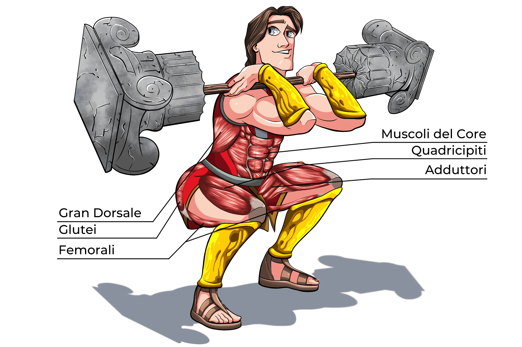 front squat Muscoli Coinvolti