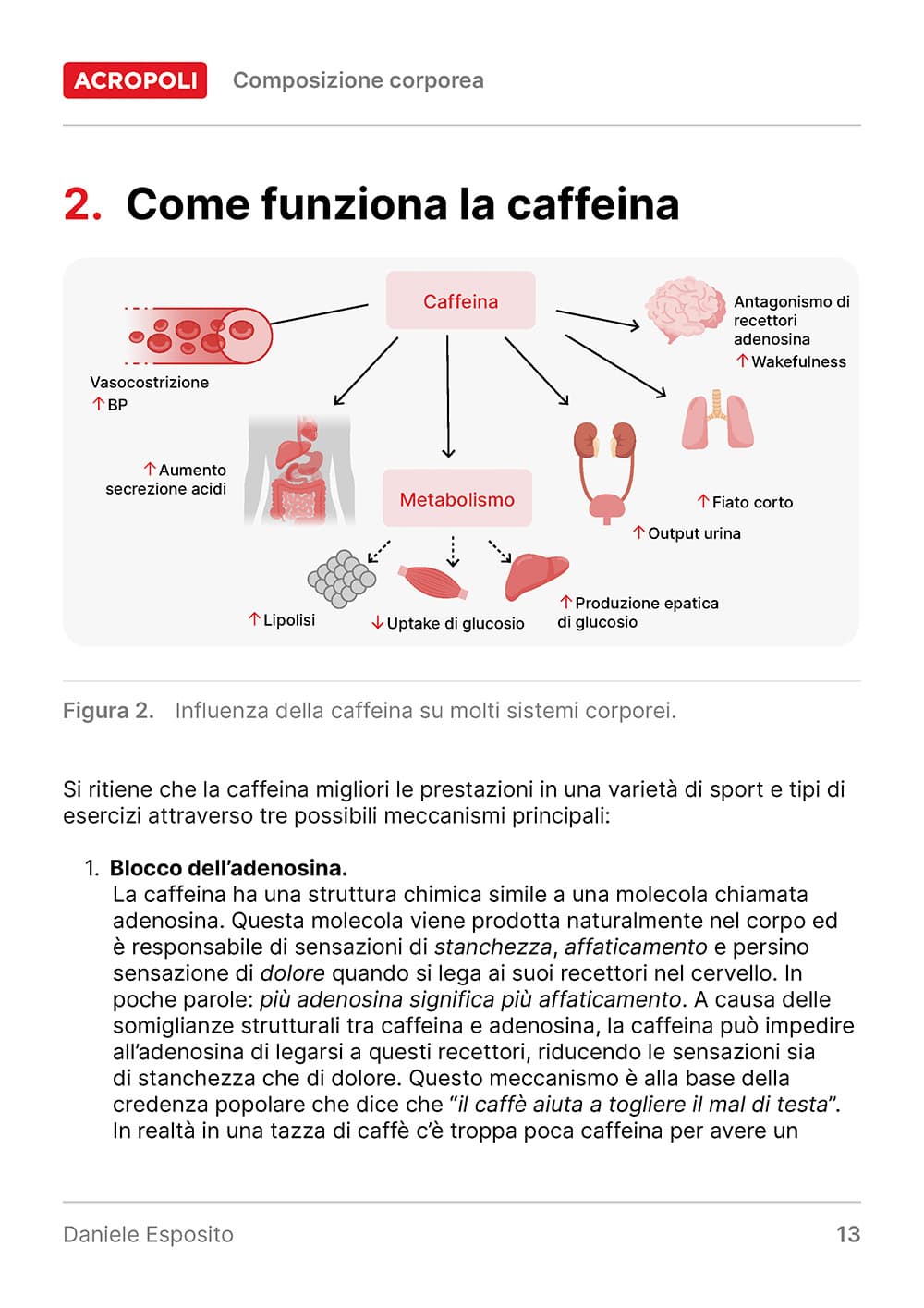 Caffeina Guida Completa Acropoli 34 - 3