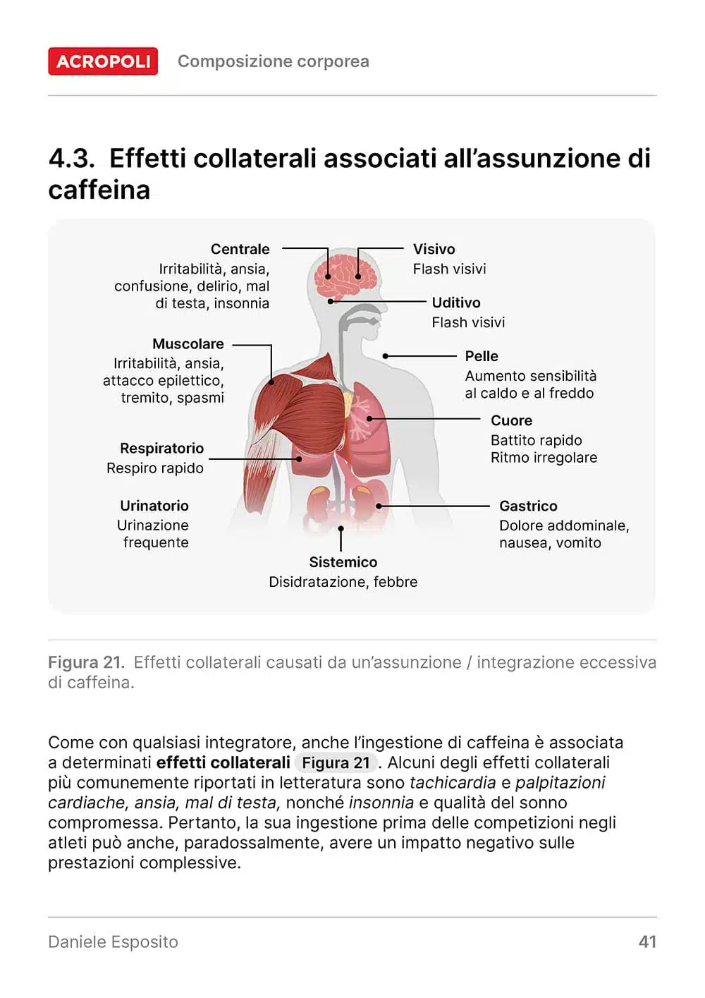 Caffeina Guida Completa Acropoli 34 - 4