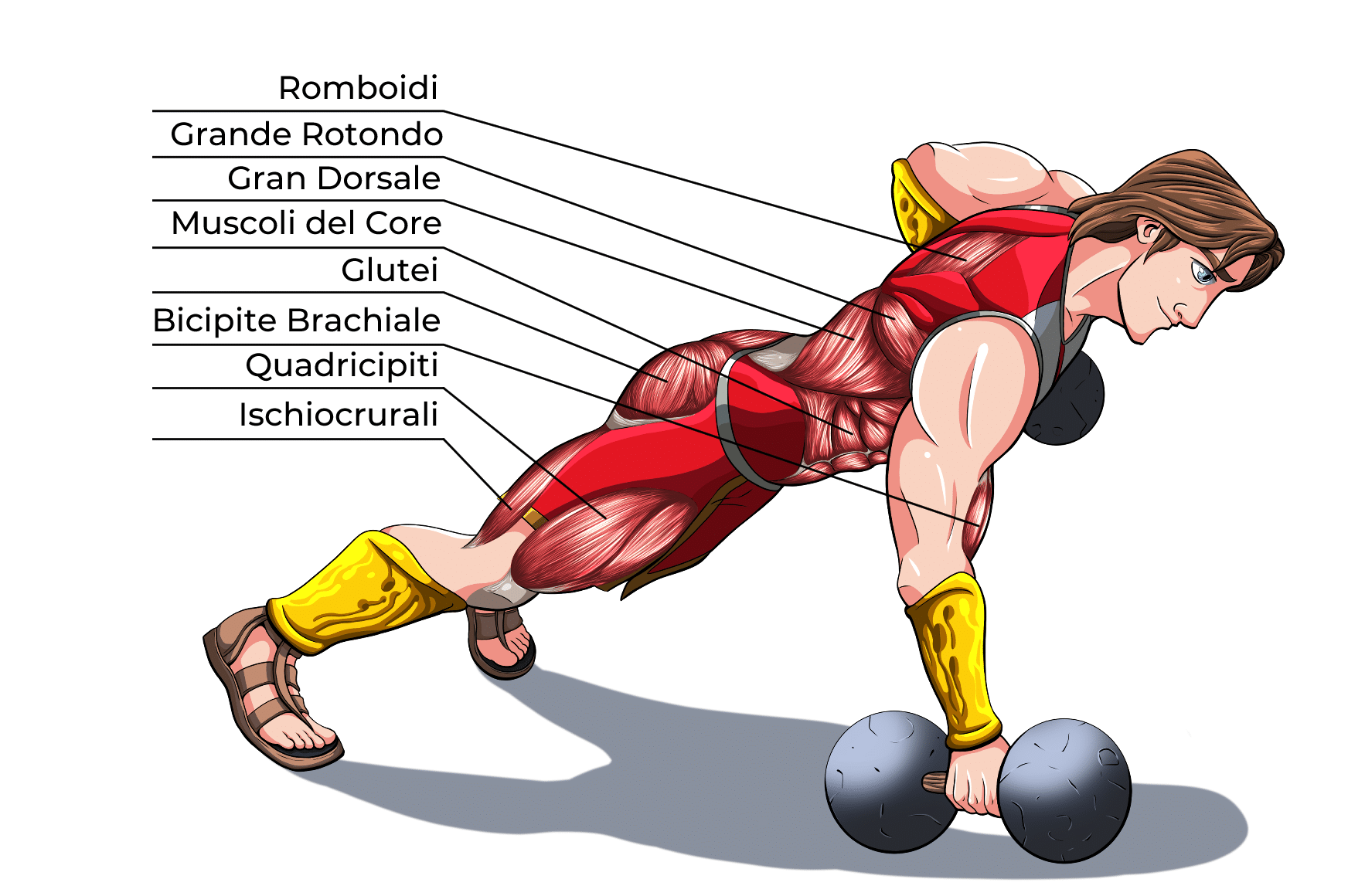 Renegade Row Muscoli Coinvolti