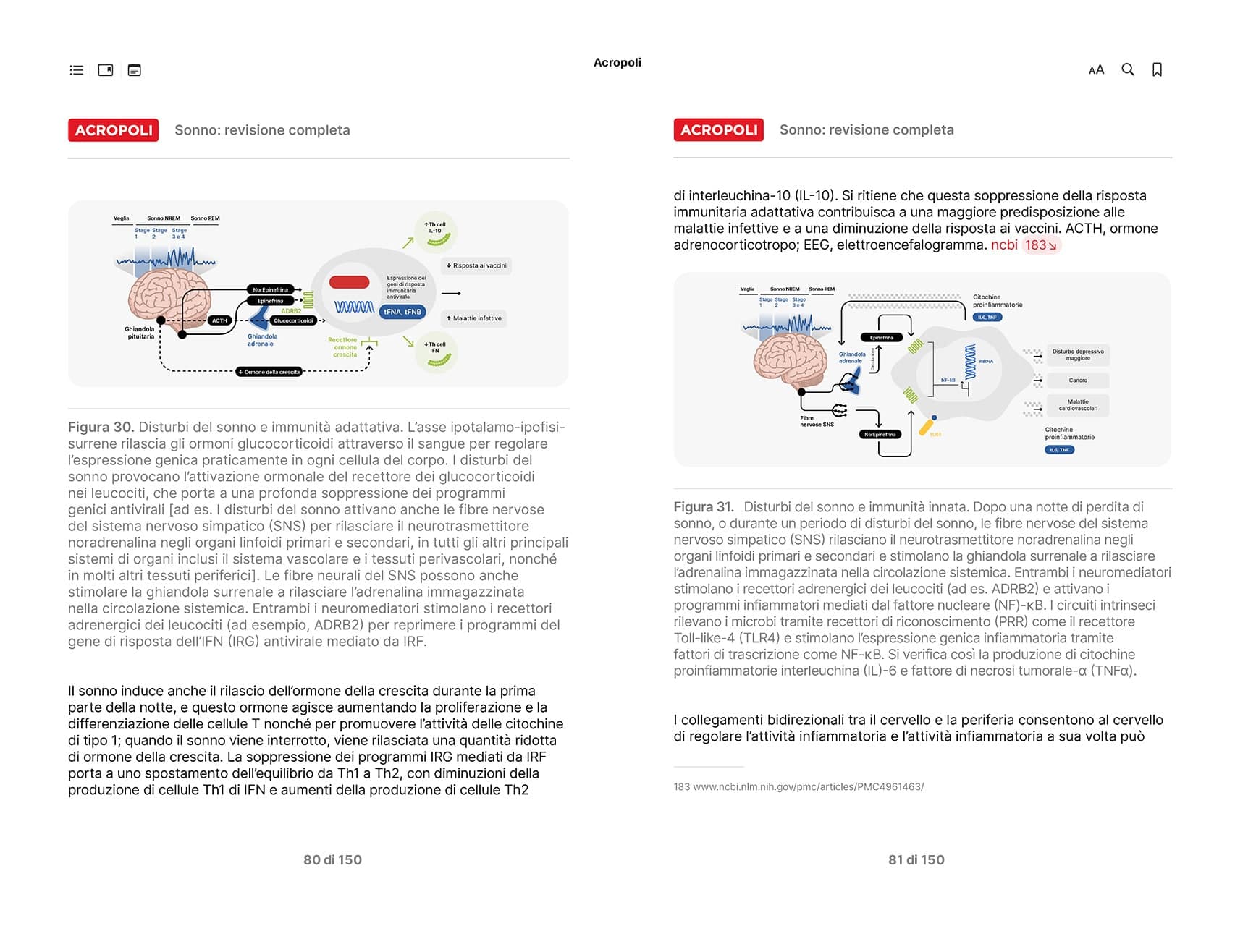 Sonno - Revisione Completa - Acropoli 35 - pagine