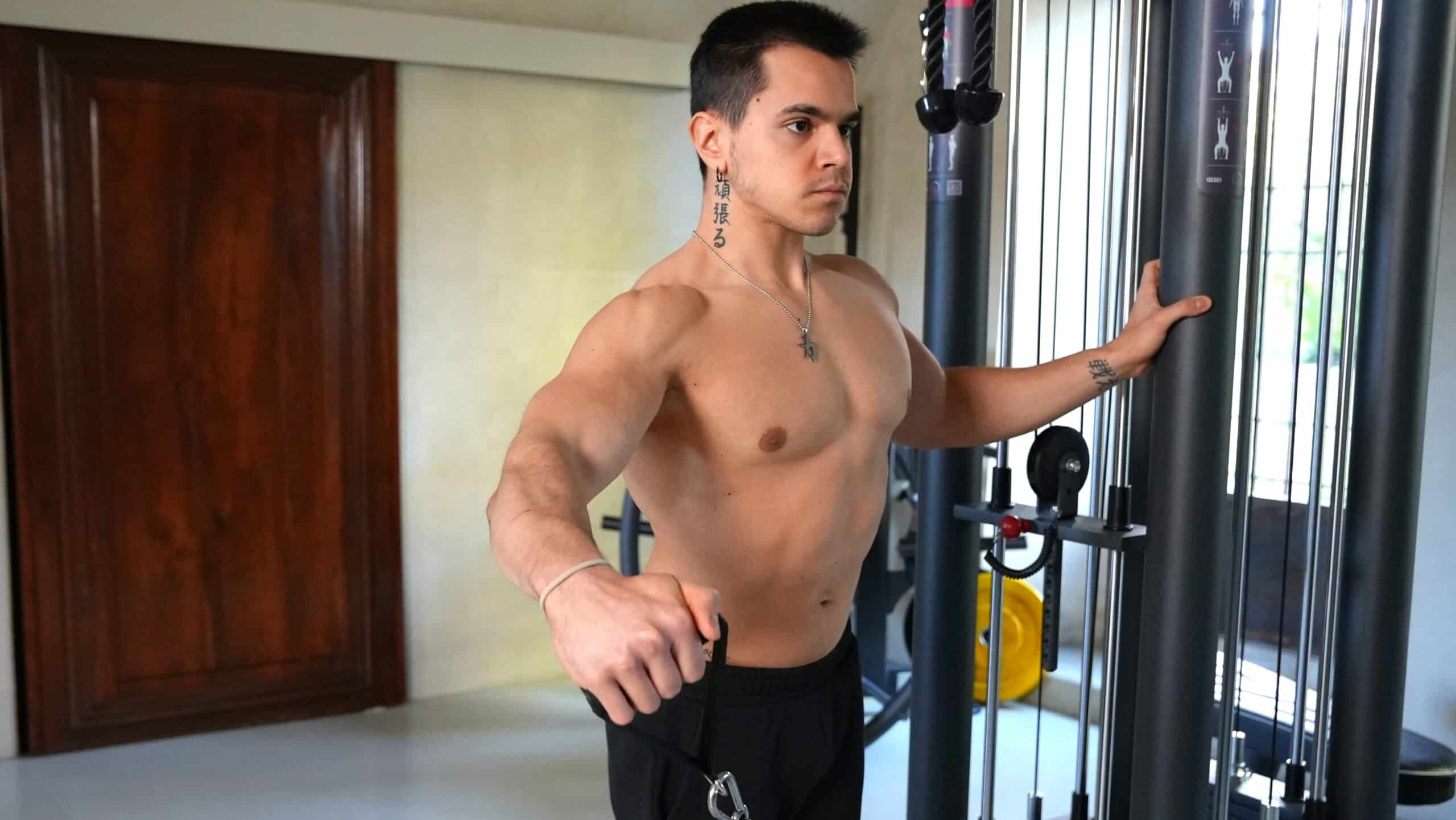 I 5 Migliori Esercizi Spalle Con Manubri Project InVictus