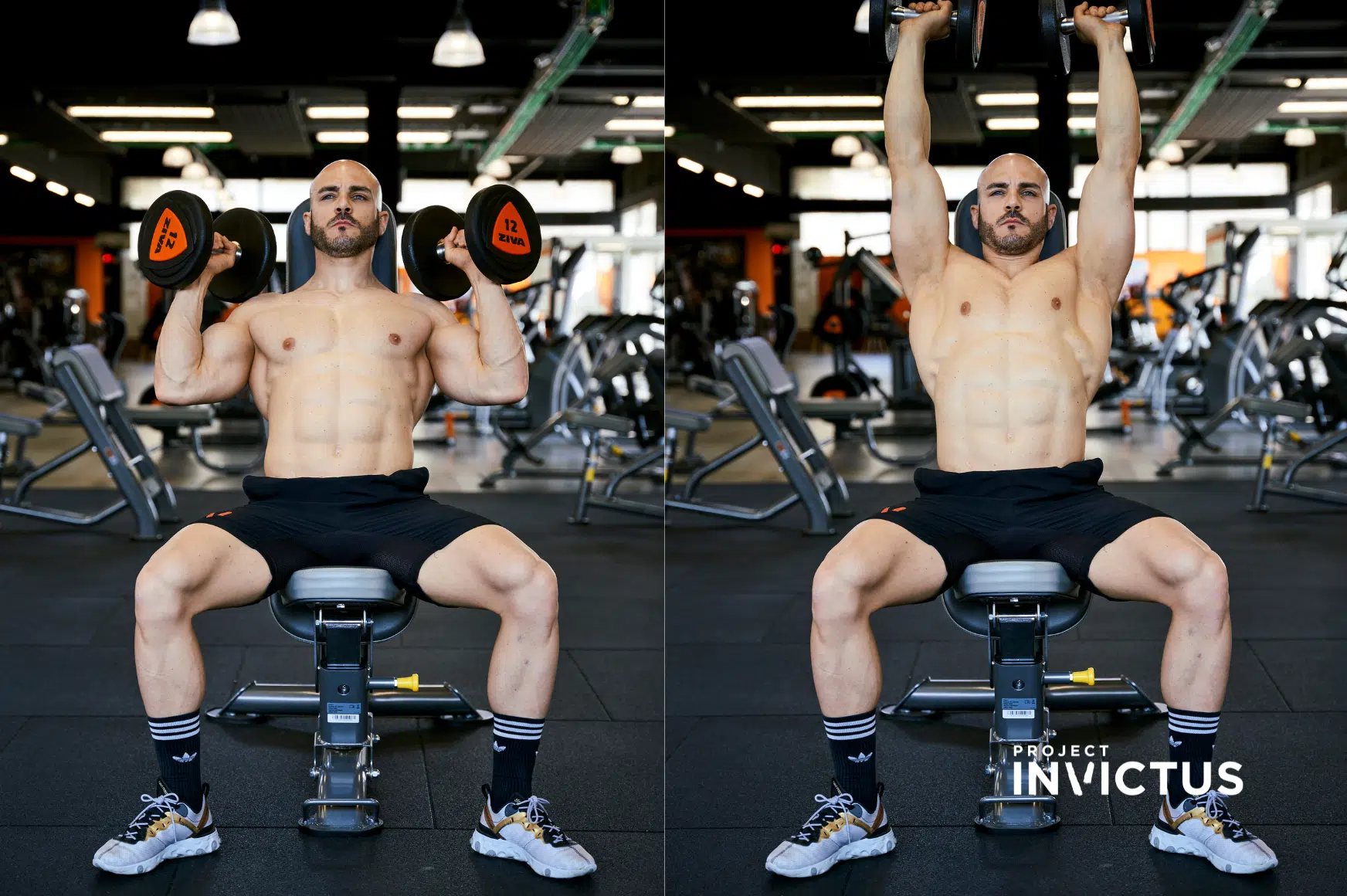 I 5 Migliori Esercizi Spalle Con Manubri Project InVictus