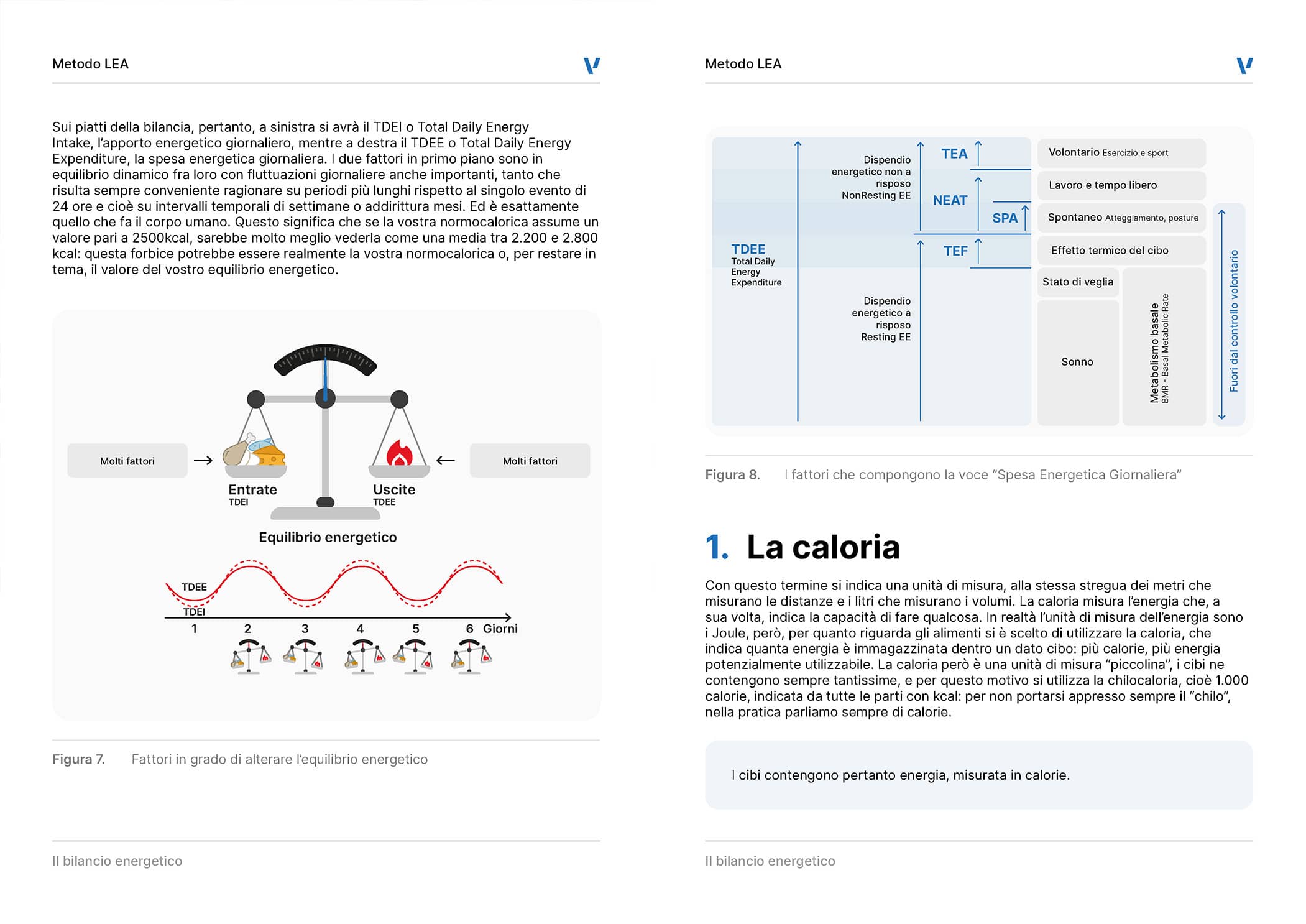 Metodo Lea: Stallo del peso pagine - 2