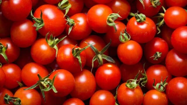 i pomodori fanno ingrassare a dieta