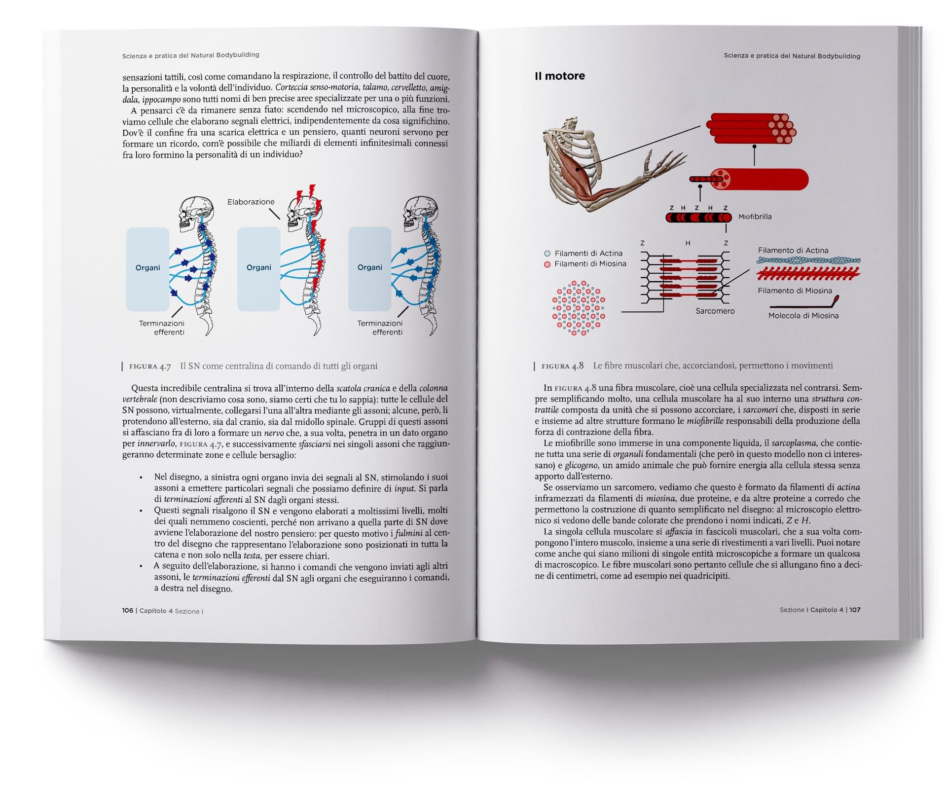Natural-Bodybudiling-Scientifico-2