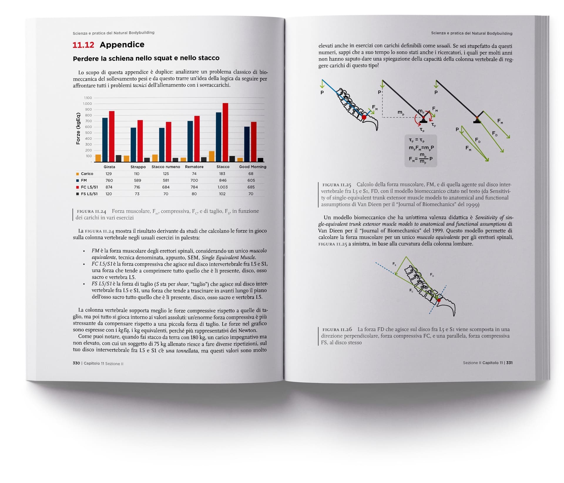 Natural-Bodybudiling-Scientifico-9