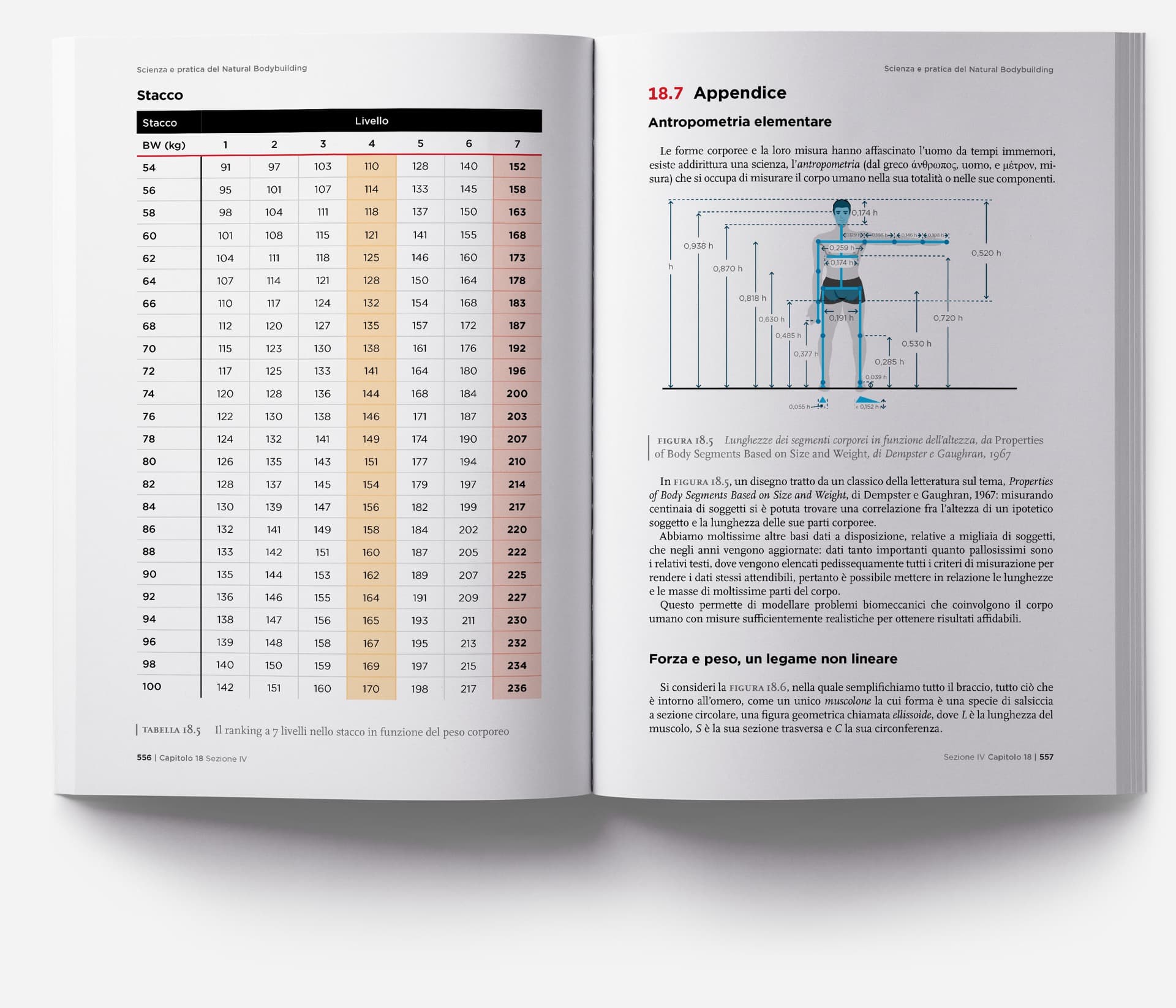 Natural-Bodybudiling-programmazione-2