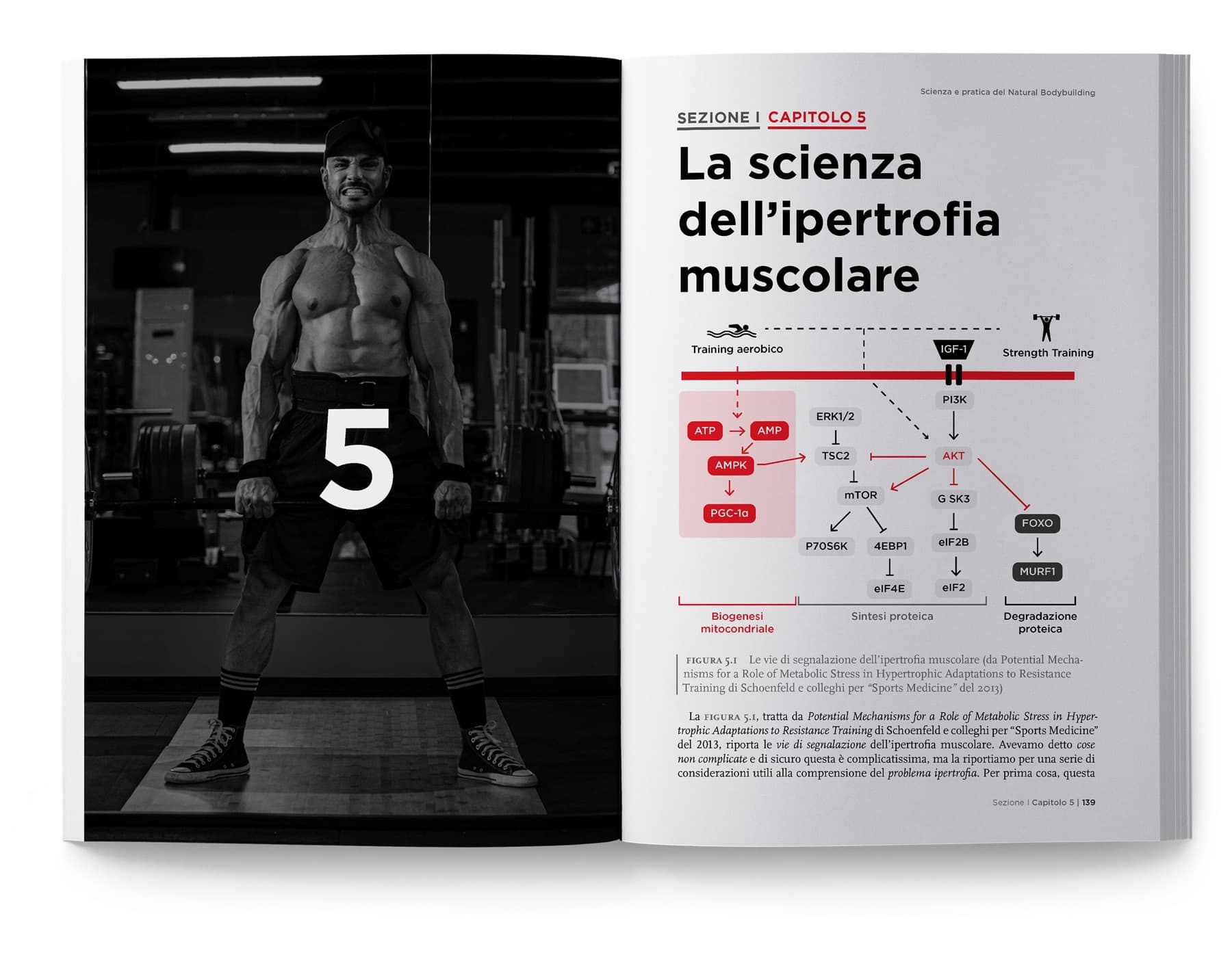 Scienza-e-Pratica-Natural-Bodybuilding-libro-1