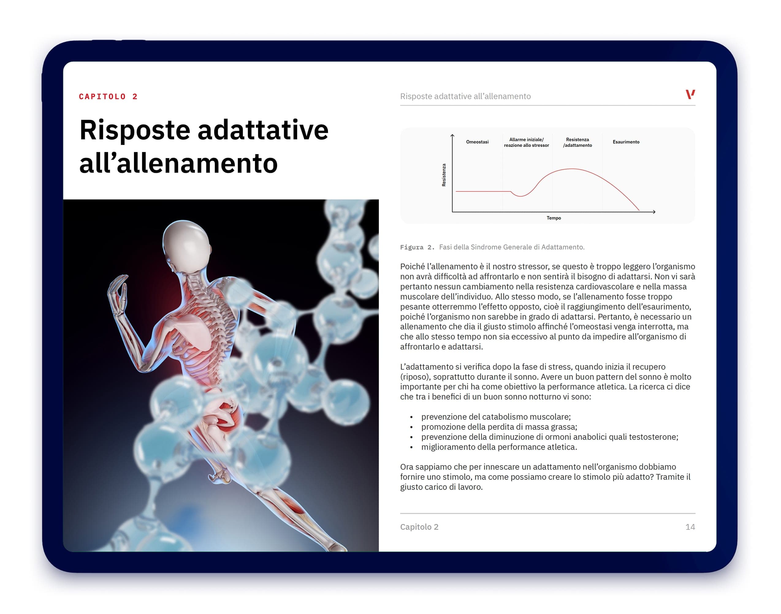 eBook-Allenamento-Ibrido-pagine-singole-1