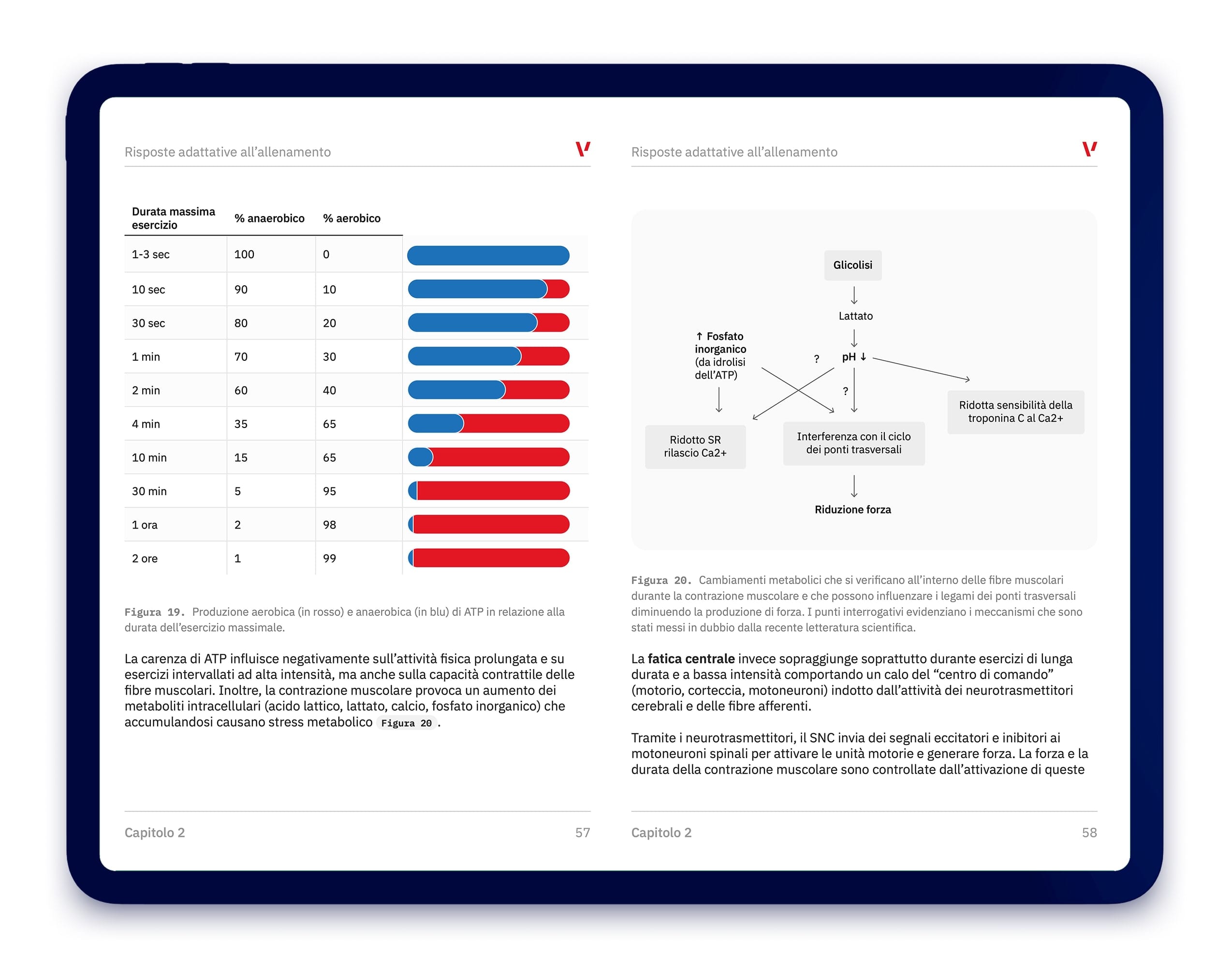 eBook Allenamento ibrido - Capitolo con programmi di allenamento