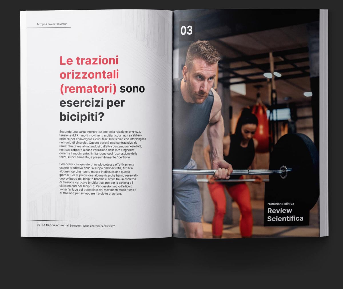 Acropoli review scientifica 3