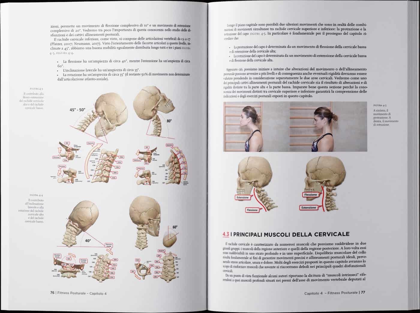 Fitness Posturale Vol 1 Illustrazioni Paolo Evangelista