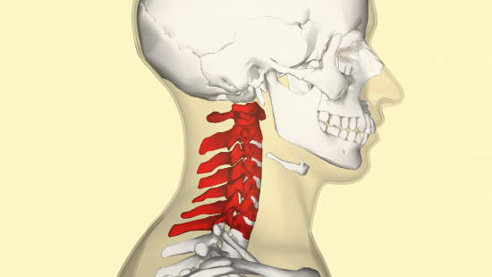 Vertebra cervicale