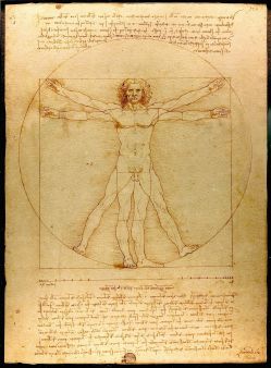 Fisiologia
